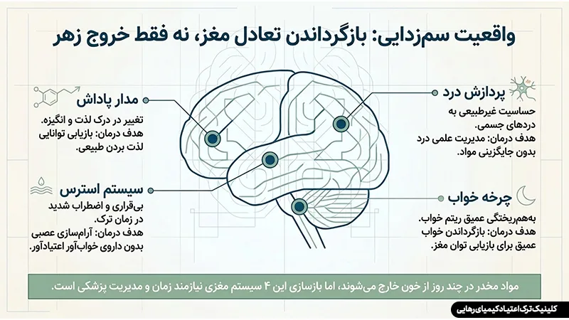 مرکز سم زدایی سریع ترک اعتیاد در تهران (بدون بستری و قیمت شفاف) 3 واقعیت سم زدایی: بازگرداندن تعادل مغز، نه فقط خروج زهر