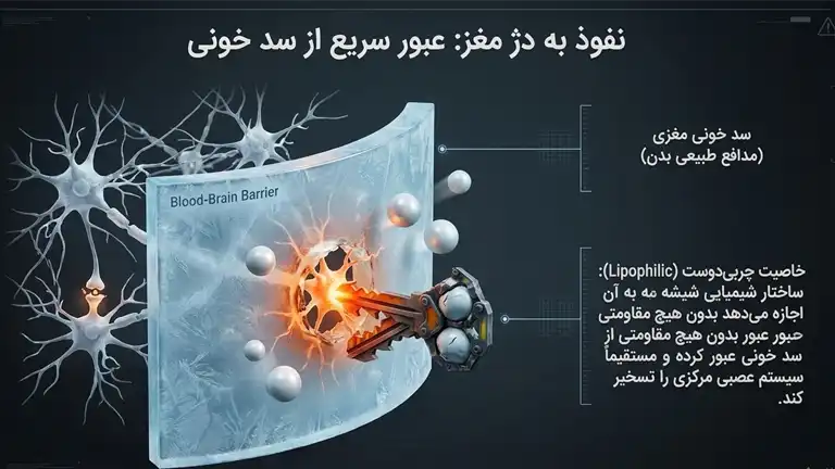 ماهیت ماده مخدر شیشه (ترکیبات، طبع، توهم زا بودن) 4 عبور سریع مخدر شیشه از سد خونی